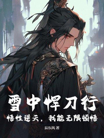雪中悍刀行感慨