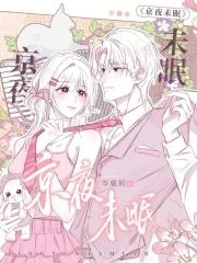 江户夜未眠
