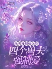 我的四个兽夫