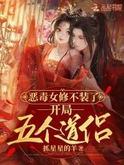 开局五个道侣 抓星星的羊