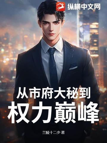 从市府大秘到权力巅峰的