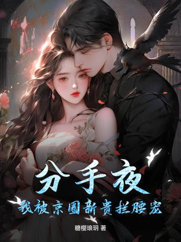 分手夜
