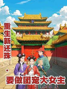 新还珠续集