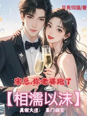 总裁你老婆又跑了