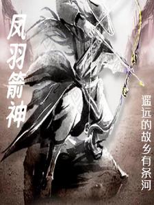 箭羽风息值得买吗