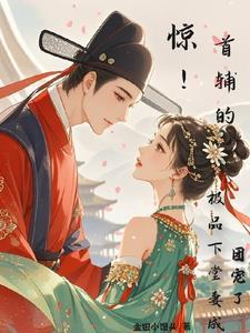 首辅娇!娘