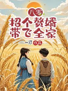 重生八零赘婿