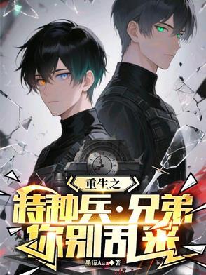 重生我是特种兵系列的
