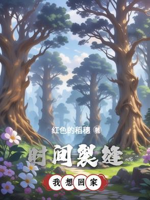 时间裂缝书