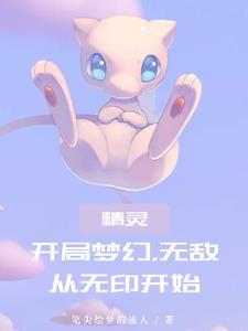 神奇宝贝 开局