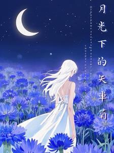 月光下的人