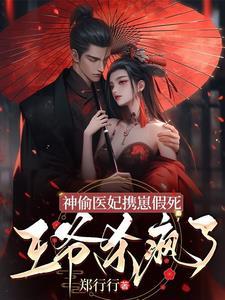 神偷王妃带娃闯天下全文免费阅读