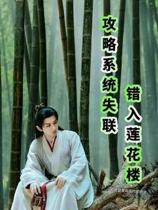 攻略系统gl