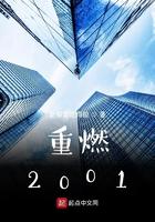 重燃2001全文免费阅读