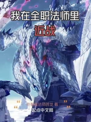 我在全职法师里近战免费阅读