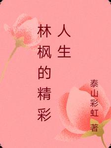 主人公叫林枫是什么
