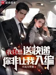 我只是一个送快递的啊
