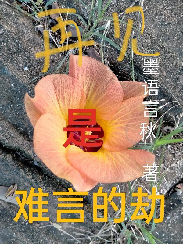 再见难吗难难就算了