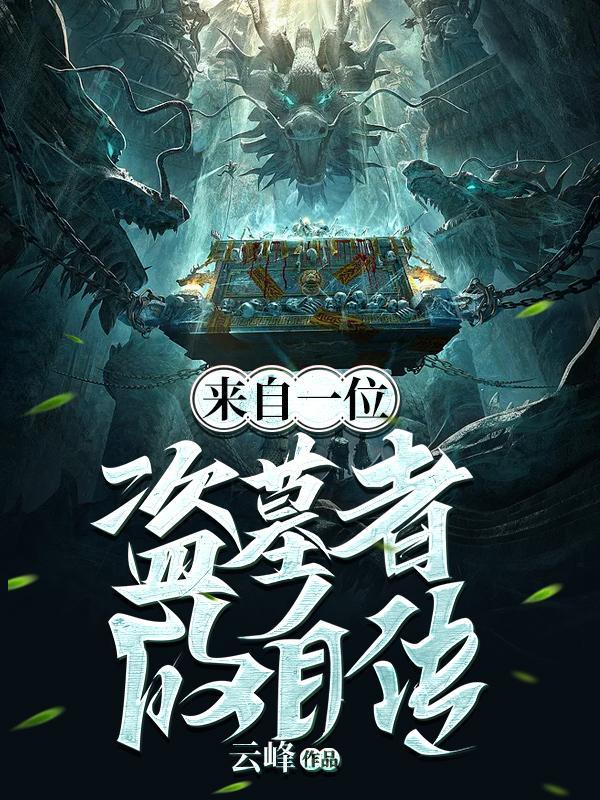 盗墓者什么意思