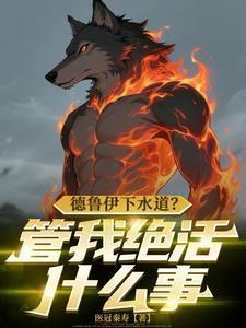 德鲁伊玩法攻略