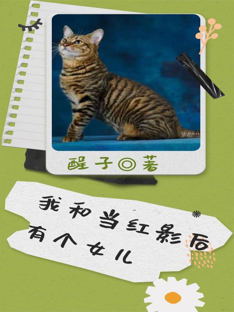 和影后cp后我爆红了娱乐圈gl