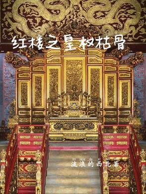红楼之皇子妃