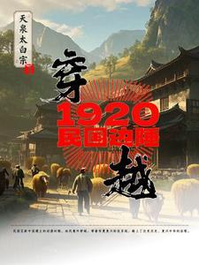 主角穿越民国19路军的