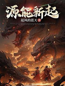 新源动力上市过会