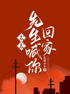 傅太太无弹窗