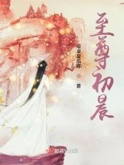 至尊龙婿叶晨萧初然最新章节