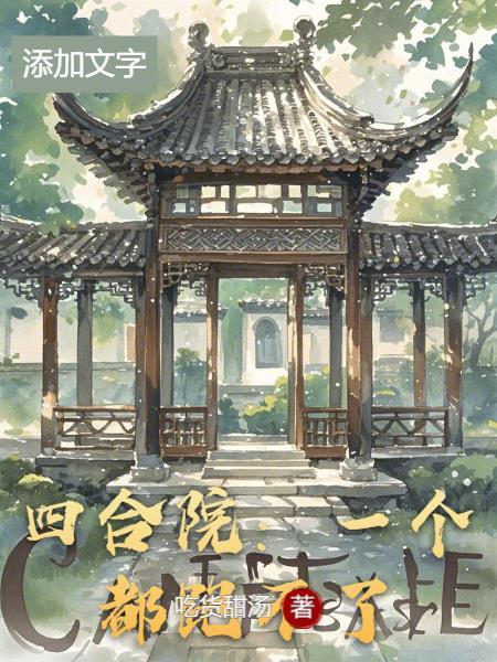 一个四合院的电视剧