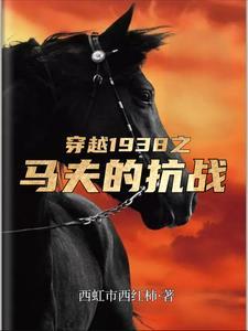 抗战开局救了丁伟