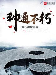 神通不朽TXT电子书