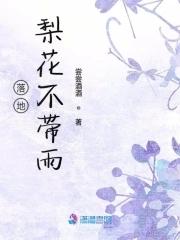 梨花落春带雨歌词曲