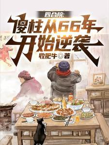 四合院娶秦京茹的