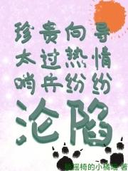 2020向导哨兵文