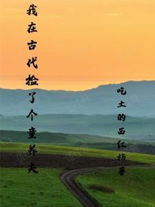 我在古代养夫郎作者矮丫头