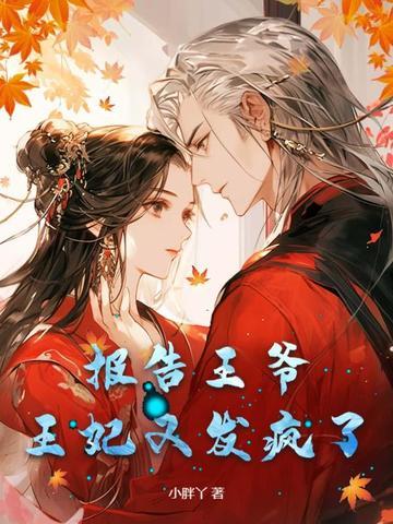 报告王爷王妃又去打架了