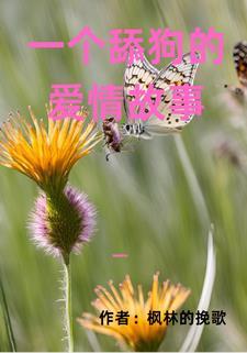 一个舔狗的爱情故事电影