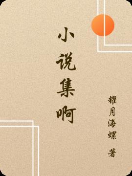 集是吗