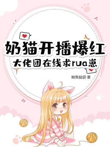 求小奶猫直播