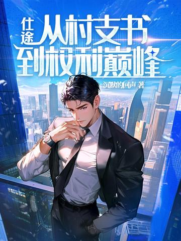 从村长到省委书记的书名