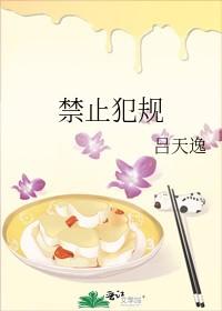 禁止犯规主要讲了什么