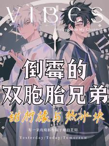 11岁双胞胎兄弟失联