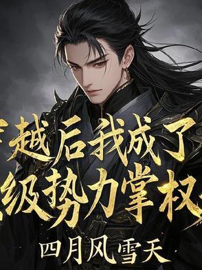 穿越后我成了权臣的