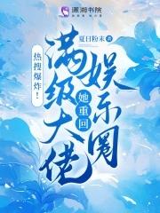 满级大佬重回游戏