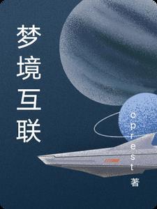 梦境互联网大佬为我耐心服务