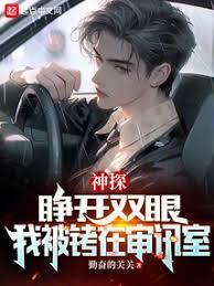 神探陈益TXT奇书网