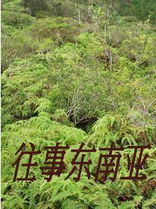 缅北逃亡