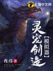 灵宠创造模拟器弱点